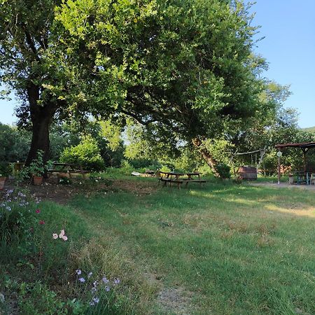 Agriturismo Il Casalino パリ エクステリア 写真
