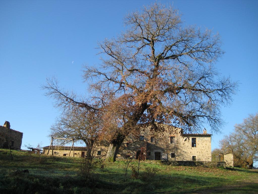 Agriturismo Il Casalino パリ エクステリア 写真